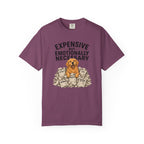 Expensive But Necessary T-Shirt