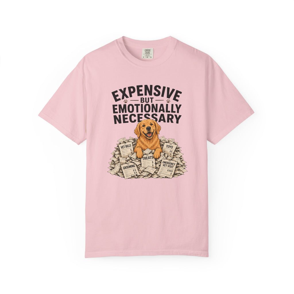 Expensive But Necessary T-Shirt