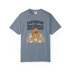 Expensive But Necessary T-Shirt