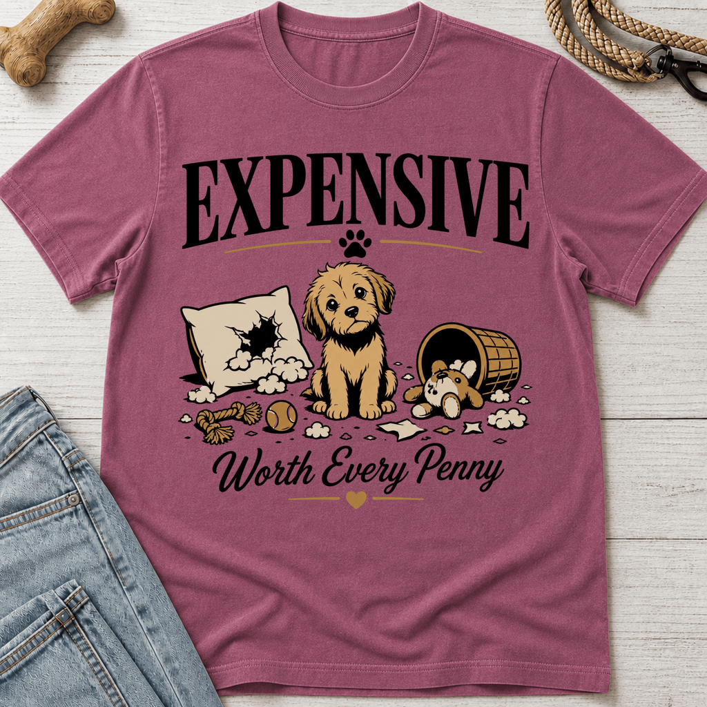 Worth Every Penny T-Shirt