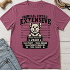 Criminal Record: Extensive T-Shirt