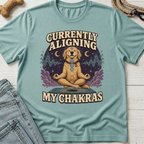 Aligning My Chakras T-Shirt